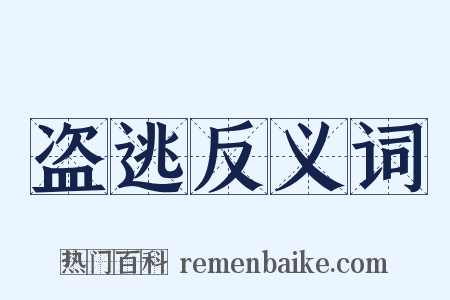 盗逃反义词是什么意思的图片